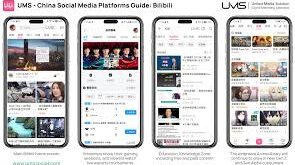 bilibili-tv.net